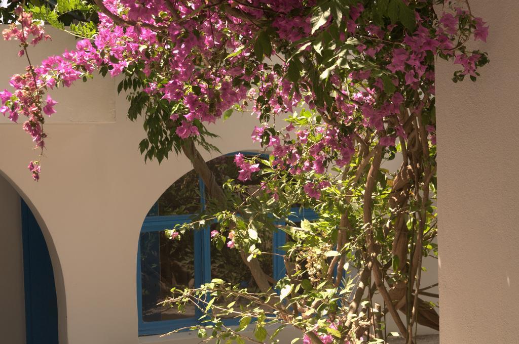 Pasalimani Hotel Cesme Exterior foto